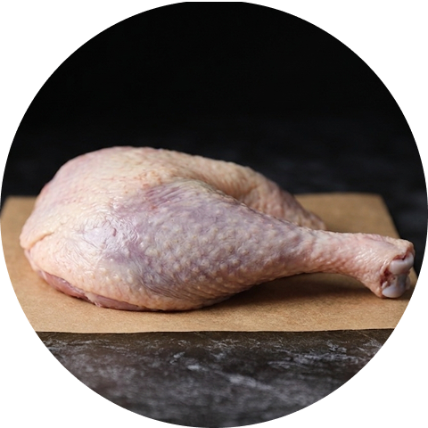 Turkey