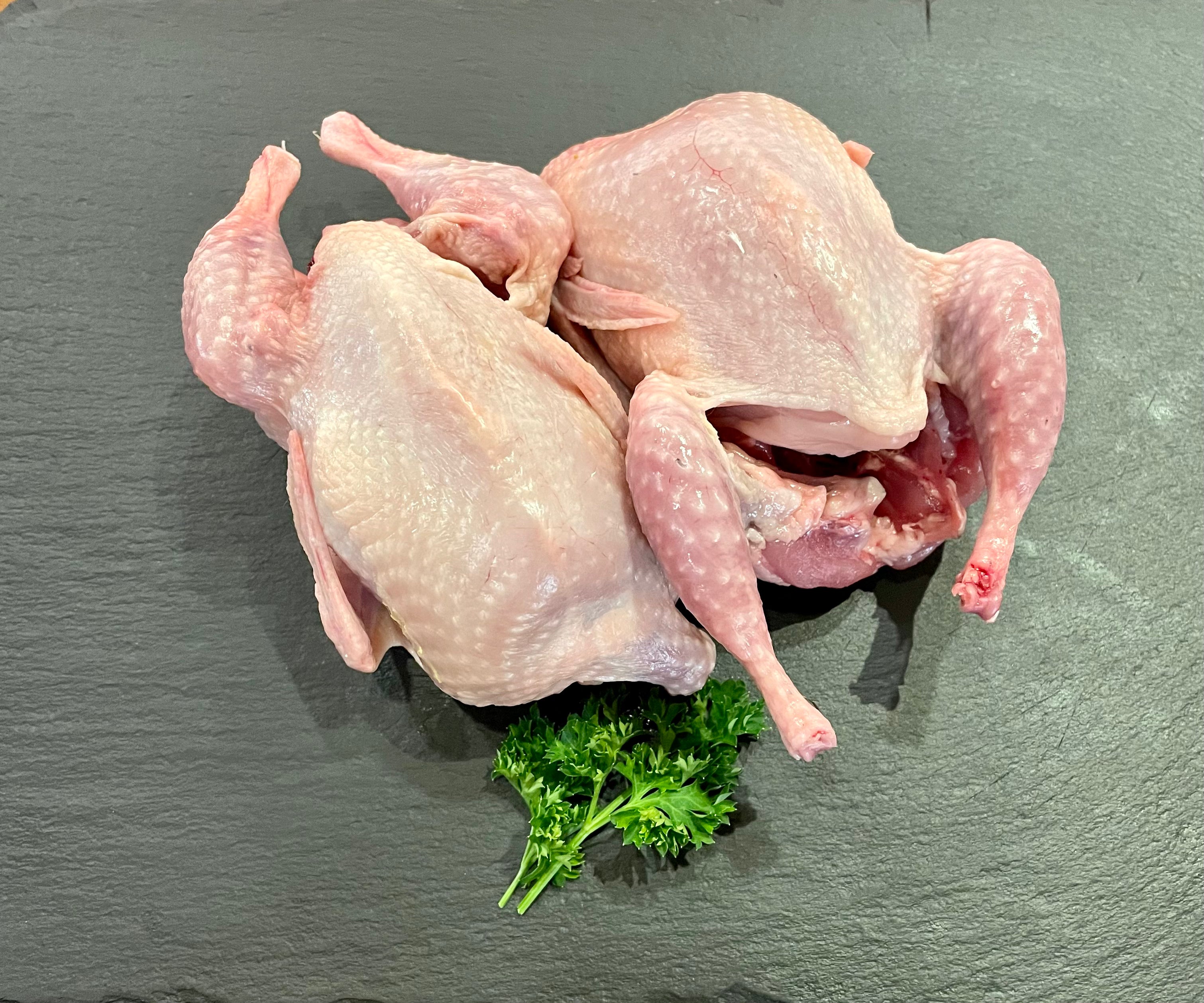 Royal Quail (6-pack)