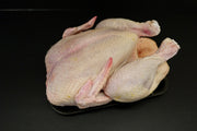Québec Grain-Fed Capon - 3kg (8 portions)